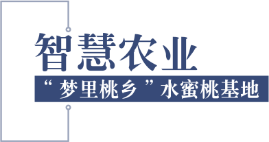 智慧農業